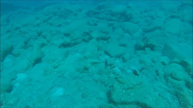 Diving in Fethiye 10.08.2016
