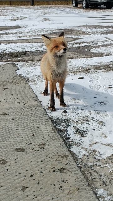 😍