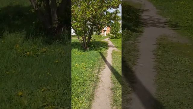 Меня ненавидят. Шок в стоматологии. Распаковка