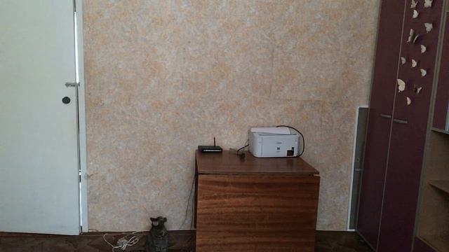 АСМР СТРИЖКА ПАРИКМАХЕРСКАЯ ASMR HAIR CUT RUS