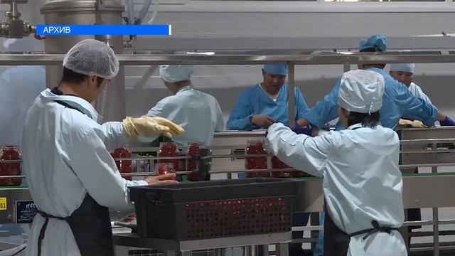 ФИСКАЛИЗАЦИЯ НАЛОГОВ