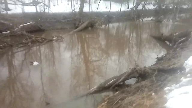 Вода уходит.бобровые платины смыло.