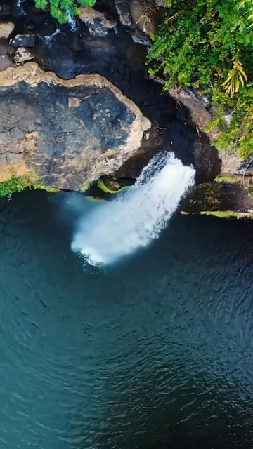 Tropical Waterfall Relaxation | Soothing Water Sounds | Nature's Serenity
