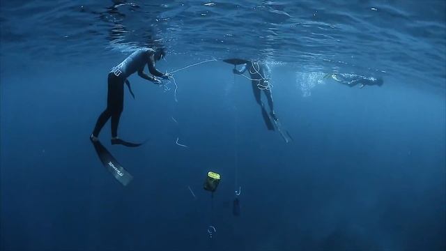 Freedive Nusa - Freediving School on Nusa Penida island, Bali