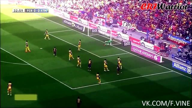 Sanchez Vine