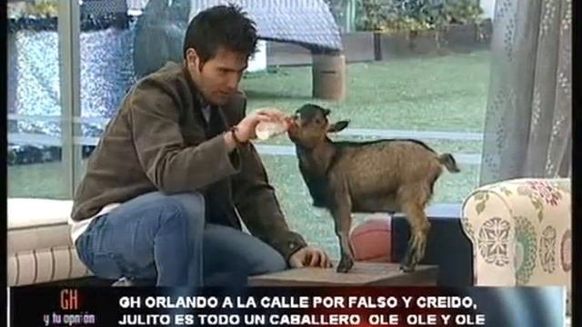Orlando Hace La Prueba De La Cabra En GH10