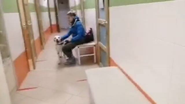 Едем в Орёл стерлизовать кошек