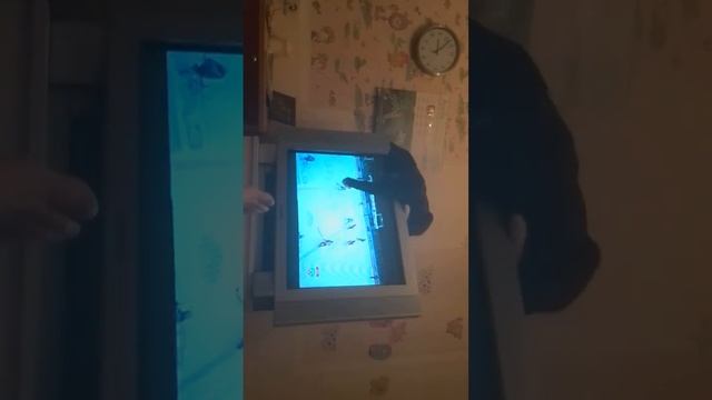 Кот болеет за СКА . КХЛ СКА &ЦСКА 07.04.2015