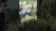 Гризли #stream #rdr2 #reddeadredemption #hanter