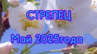 СТРЕЛЕЦ ♐ Расклад Таро на май 2025 года