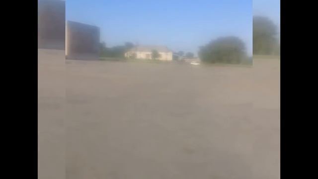 Призрачный пончик или BEBINATOR на отдыхе.