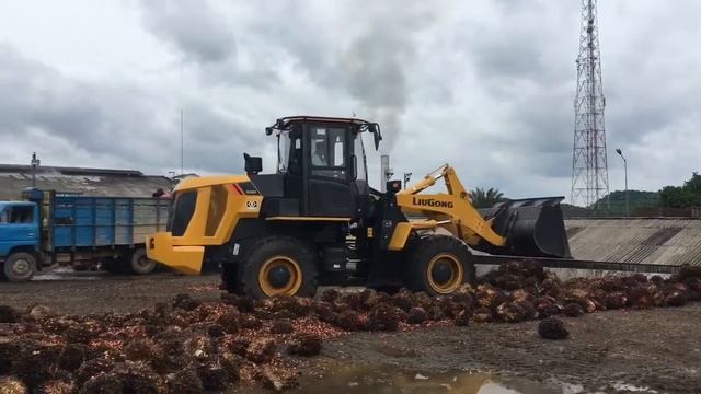 WHEEL LOADER LIUGONG 835 AT LOADING RAM PALM OIL MILL