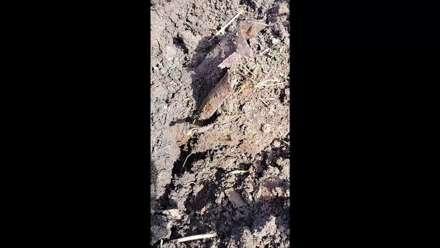Металлокоп . Разведка . Открытие сезона