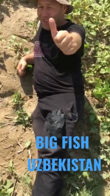 BIG FISH . ОГРОМНАЯ РЫБА #сом #fishing