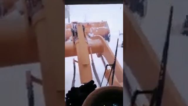Коянды