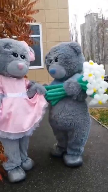 мишки тедди на праздник