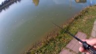Пару минут на безлимите и форель поймана