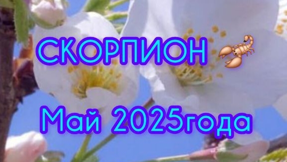 СКОРПИОН ♏ Расклад Таро на май 2025 года