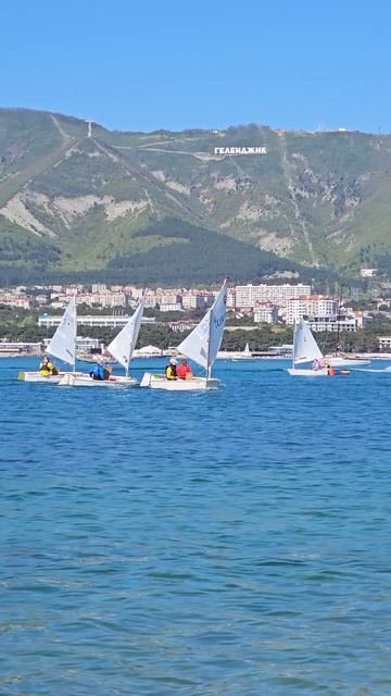 Такси у моря 🚕🏝️