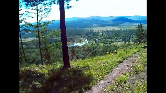 Сокол