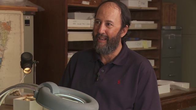 Orogenic Gold Deposits