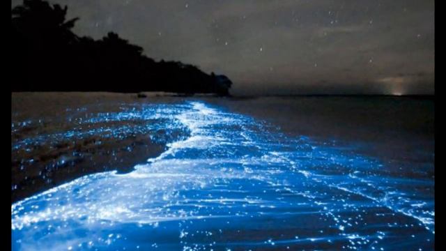 Mumbai's Juhu Beach water light up with neon lights