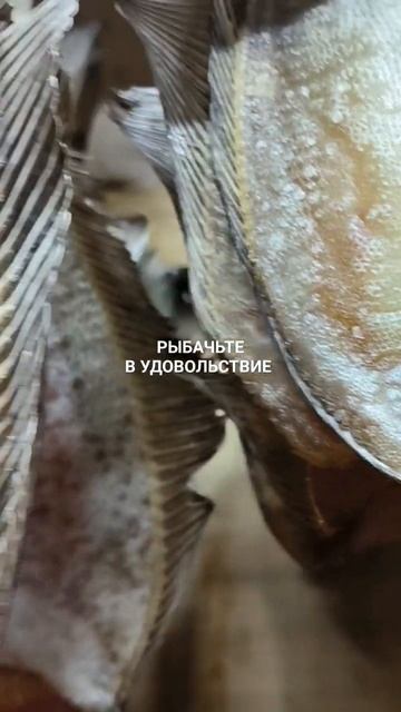 Вкусный вяленый ёрш к вашему столу.