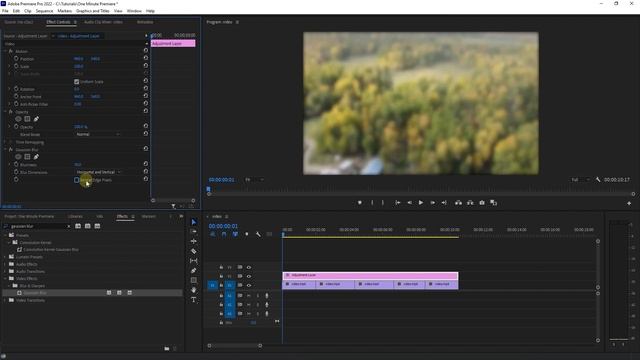 How to BLUR Video in Premiere Pro