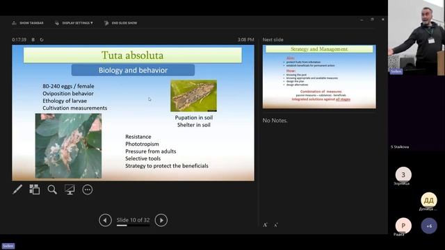 Tuta absoluta, доматен миниращ молец и методи за контрол с биоагенти
