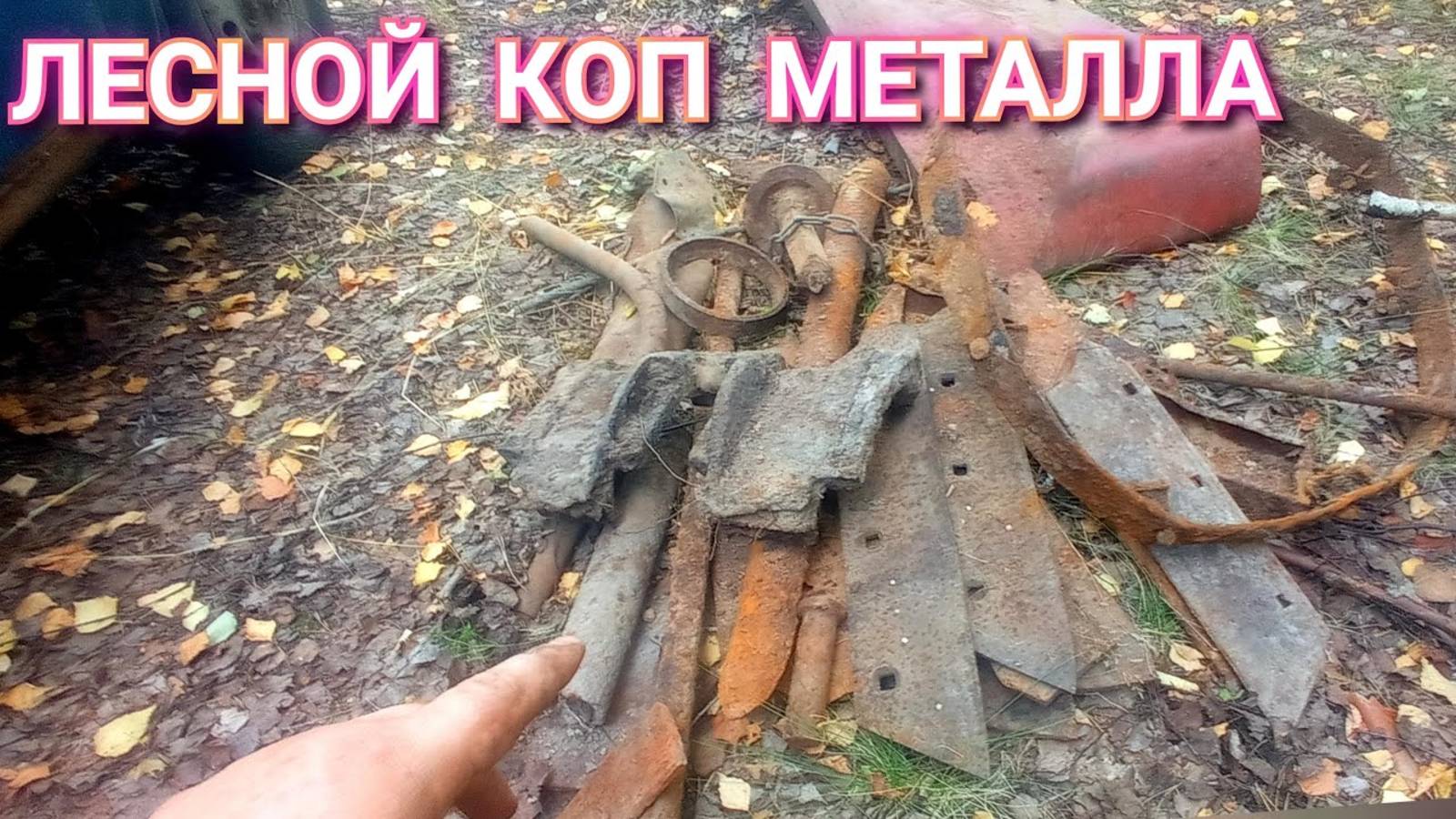 Лесной МЕТАЛЛОКОП в знойною жару.лемеха так и прут