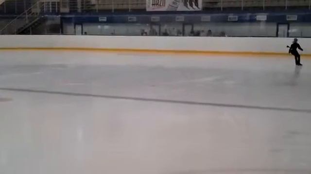 ICE TIGER 21.01.2016