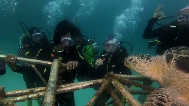 PADI Diving Course - Mabul Island