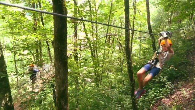 Pigeon River Canopy Tour