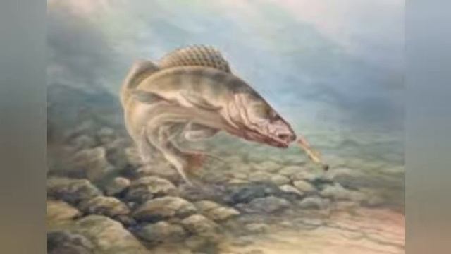 все секреты ловли окуня