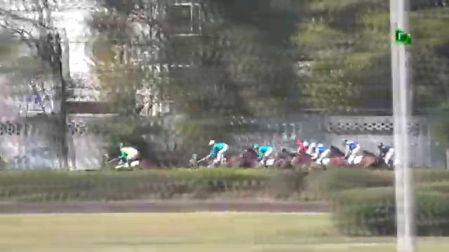 28.09.14 - Дерби Юга России - Southern Russia Derby - Тайгер Кид