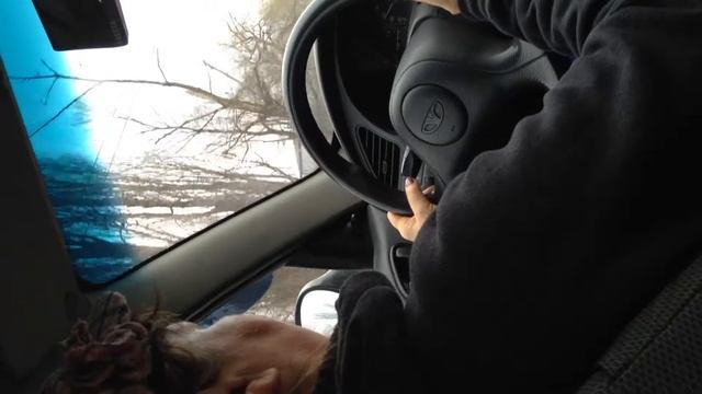 Учебное вождение :D (часть 1)