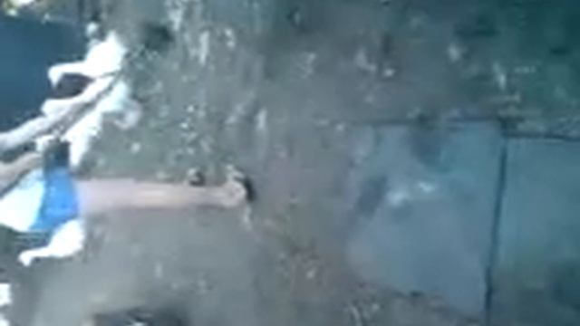 пройти через злобных гусей.......