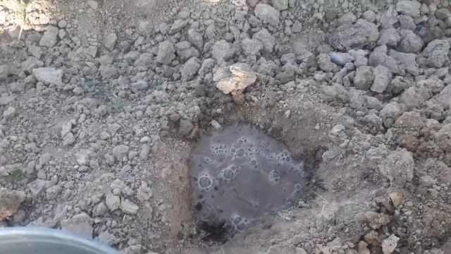 ЖАҢАЛЫҚ БИОГУМСпен ҚЫЗАНАҚ ПОМИДОР Егу тез тез көріңіздер 15.04.2022