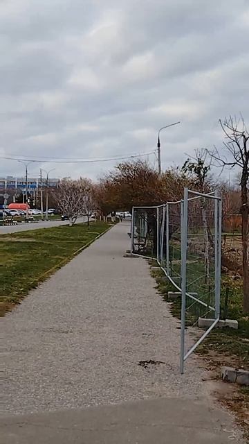 Новороссийск ноябрь 2024 год.