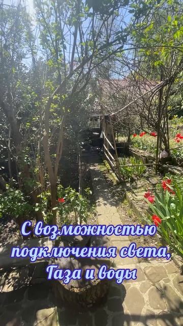 участок в Сочи