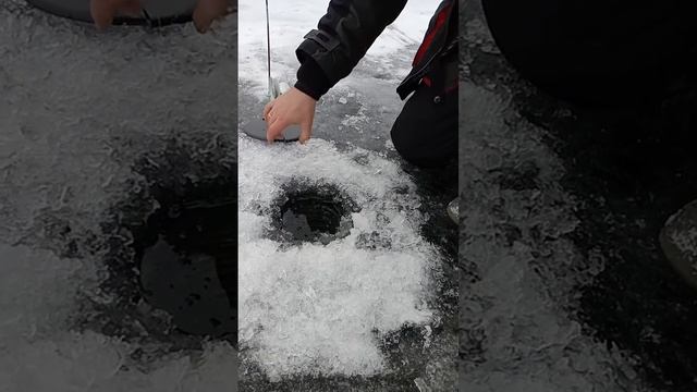 Уводь зима красота жерлички