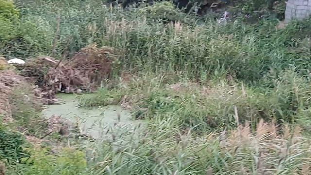 СОЛЬ-ИЛЕЦК: кто захламляет улицу татарского ПОЭТА-ГЕРОЯ?