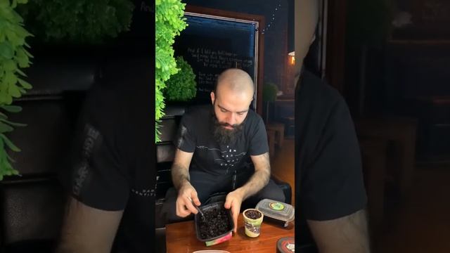 КАЛЬЯННАЯ КУХНЯ №1 ПОНЧИК С ДЖЕМОМ