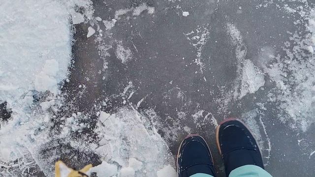 Амурка впервые идёт на площадку!