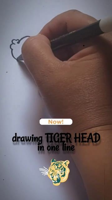 drawing TIGER HEAD in one line #shorts#onelinedrawing#easydrawing