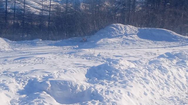 Рыжая лисичка / Часть 2