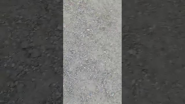 пилим карету на улице