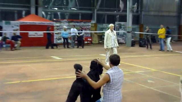 Доминикан Шалата Одесса   октябрь 2012