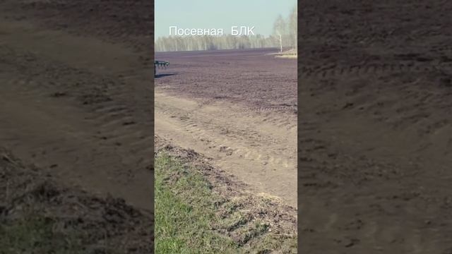 Посевная льна-долгунца . БЛК 2023. Возрождаем льняную отрасль!!!!