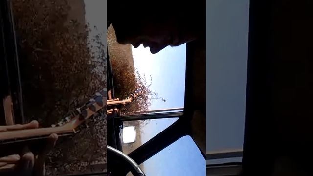 Группа Крови